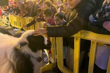 Cabalgata de los Reyes Magos en Telde (Foto TA y Antonio Alí))